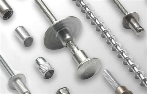 Types of Rivets: A Guide to Rivet Types and Their 